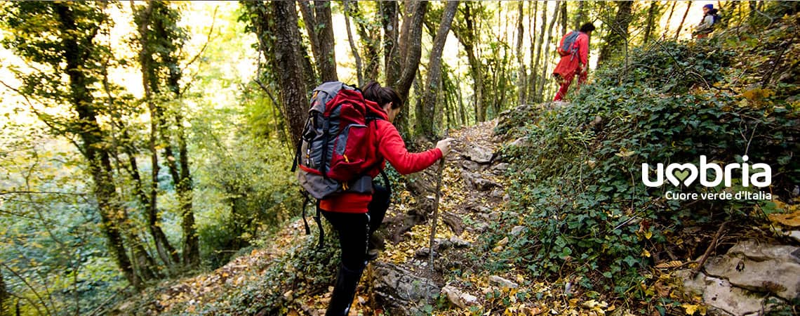 northen way camino stages pilgrimage of St Francis
