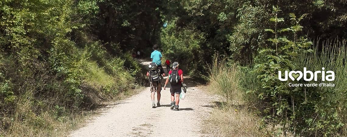 path of reflection pilgrimage umbria mystic track of francesco