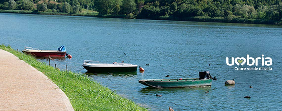peregrinacao de bicicleta caminho de francisco caminho bike