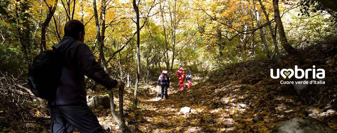 pilgrimage track francigena of francesco travel on foot