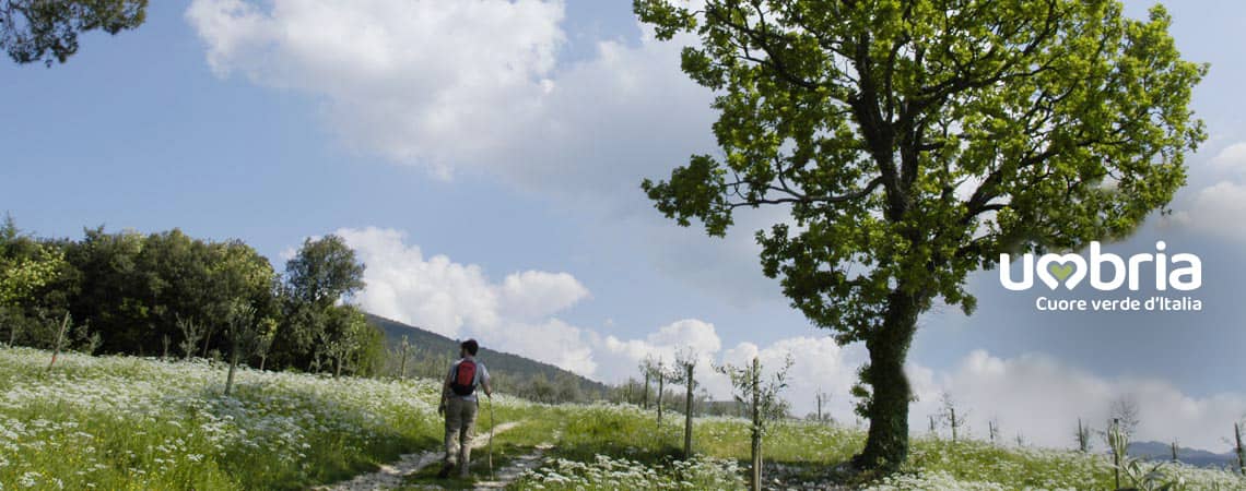 wanderer erfahrungen auf dem pilgerweg nach rom franziskusweg