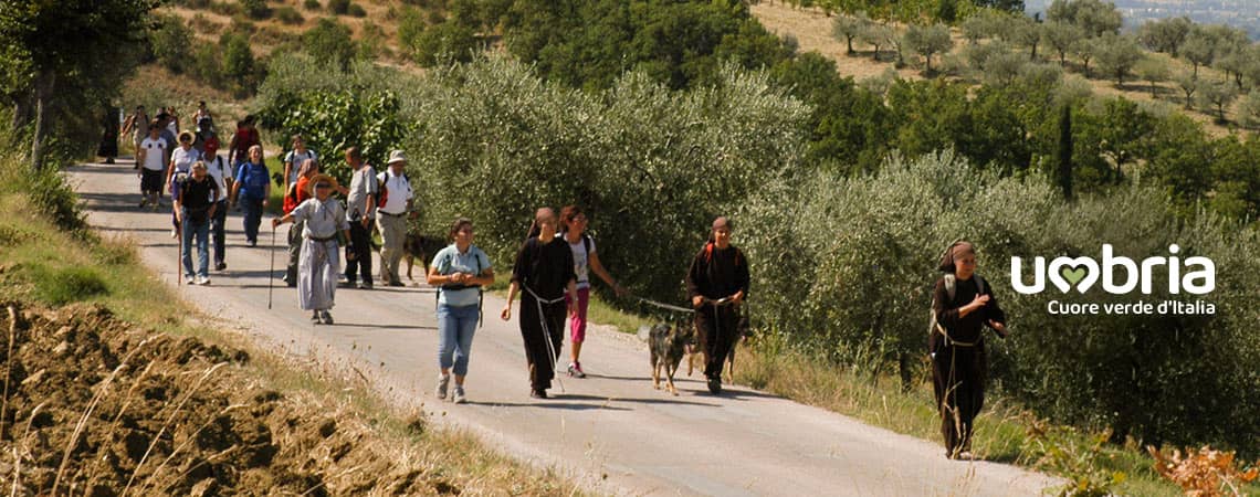 peregrinos en via de francisco peregrinacion