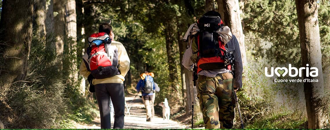 en chemin avec le chien pelerinage vers rome via francigena