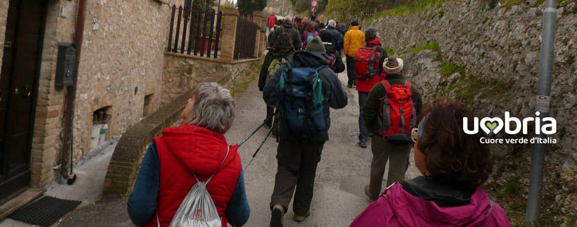 the path of saint francis meditation in franciscan places