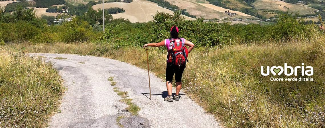 camino de san francisco ruta de peregrinacion