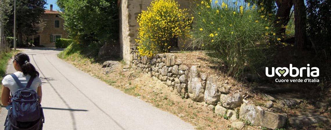 chemin de saint francois chemin vers rome pelerinage experience de vie