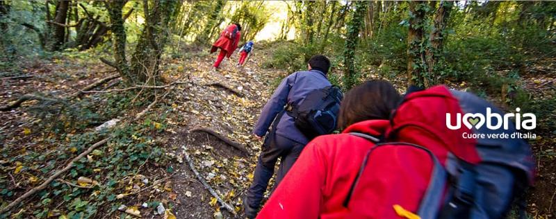via francigena di san francesco spiritual pilgrimage franciscan site