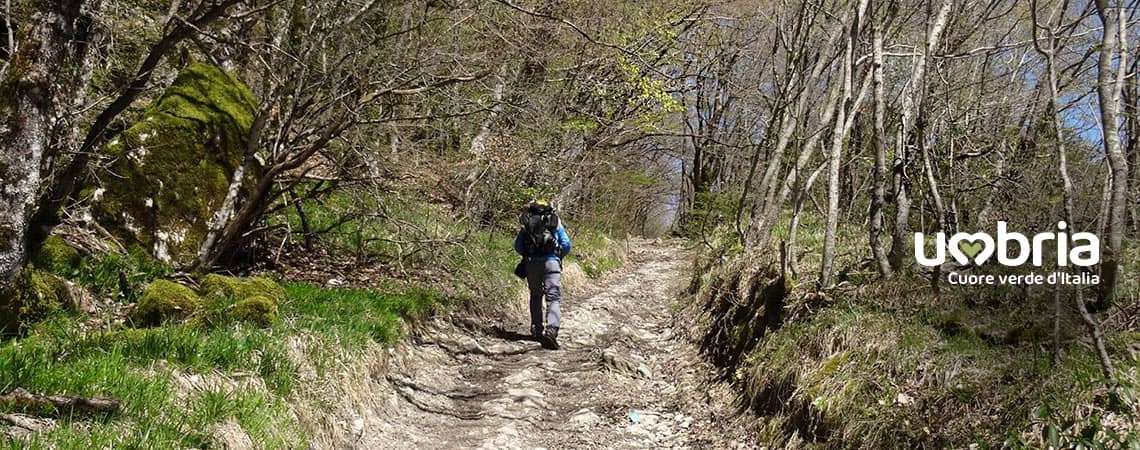 gehen in einsamkeit auf der franziskusweg nach assisi sudroute