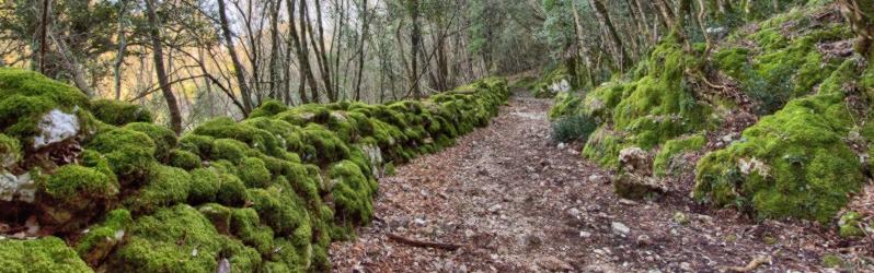 tappa 1 Cammino dei Protomartiri Francescani pellegrinaggio in Umbria, Italia. Abbazia di San Benedetto in Fundis
