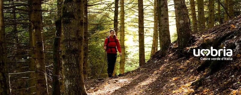 Spiritual journey in the footsteps of St Francis of Assisi pilgrimage camino