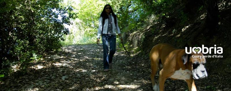 passeggiata escursionistica di meditazione nella via di francesco di assisi