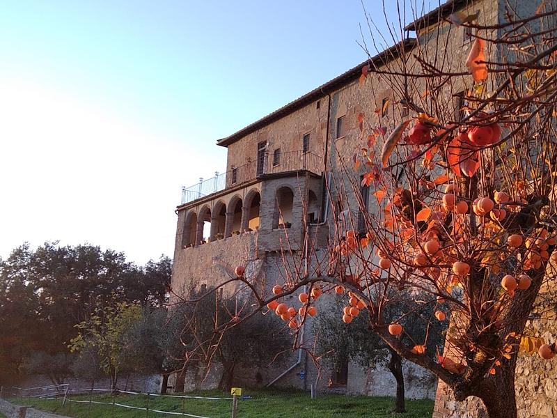 Titolo: The Convent of the SS. Annunziata in Amelia