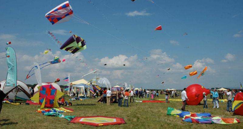 poster festival del volo